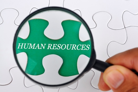 Human Resources Graphic