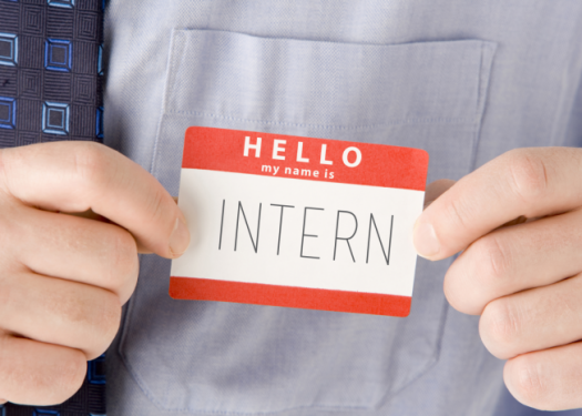 Intern Sticker