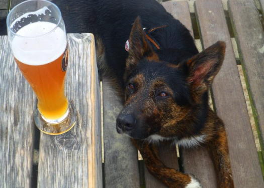 Large Beer
