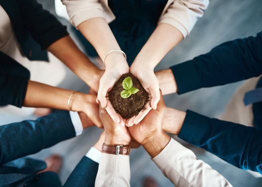 Group of Hands