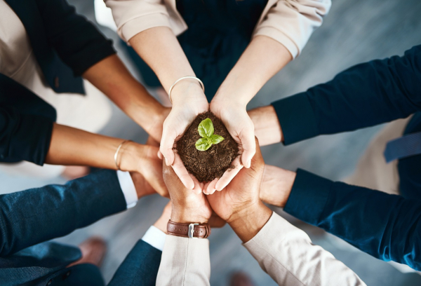 professionals holding growing plant