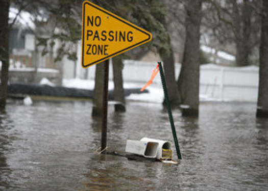 No Passing Zone