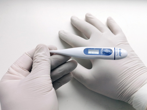 gloved hands holding thermometer