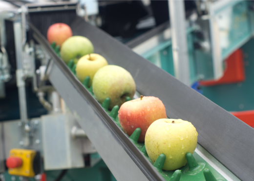Apples on a converter belt